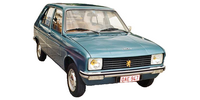 Rear window Peugeot 104