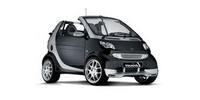 Car antenna Smart Cabrio