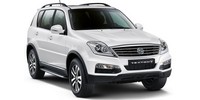 Engine oils Ssangyong Rexton W buy online