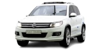 Springs Volkswagen Tiguan Mk1 (5N) SUV buy online