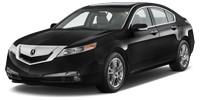 Xenon headlight bulbs Acura TL (UA8, UA9)