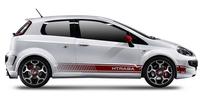 Fender covers Abarth Punto (199)