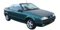 CV axle seal Renault 19 II (D53, 853) Convertible buy online