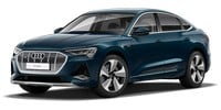 Interior mats Audi E-TRON (GEN)