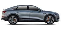 Car foot mats Audi E-Tron Sportback (GEA)