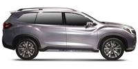 Reverse camera Subaru Ascent SUV