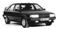 CV Joint Citroen BX