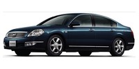 Coil spring Nissan Teana
