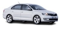 Timing tensioner Skoda Rapid