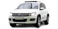 Inlet valve Volkswagen Tiguan