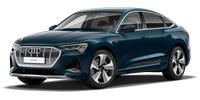 Ambient temperature sensor Audi E-tron