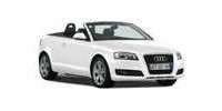 Car radiator fan Audi A3 (8P7) Convertible buy online