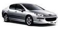 Cat converter Peugeot 407 (6D) Sedan