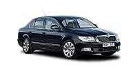 Brake caliper Skoda Superb Mk2 (3T4) Hatchback buy online