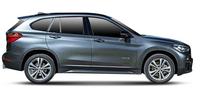 Oxygen sensor BMW X1 (F48) Van