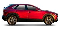 Spark plug Mazda CX-30 (DM)