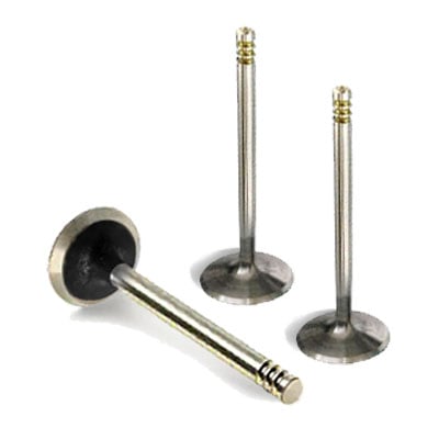 Exhaust valve Ford Fiesta Mk6 (B299) Hatchback