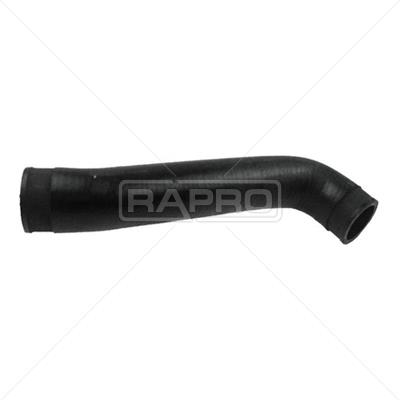 Rapro 25239 Air filter nozzle, air intake 25239