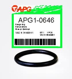 APG APG1-0646 Ring sealing APG10646