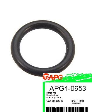 APG APG1-0653 Ring sealing APG10653