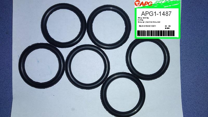 APG APG1-1487 Ring sealing APG11487