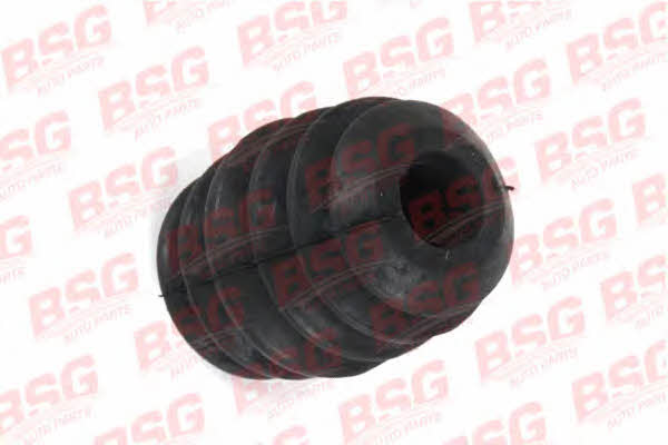 BSG 30-700-169 Shock absorber boot 30700169