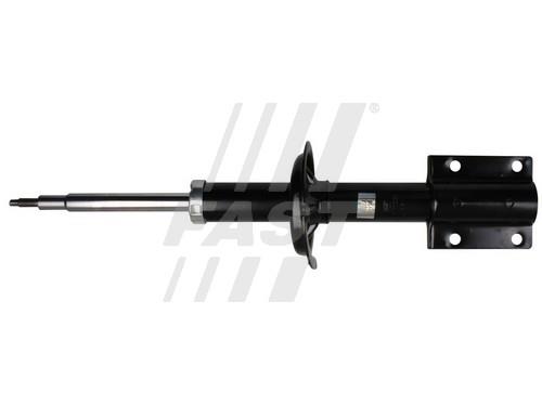 Fast FT11009 Front oil and gas suspension shock absorber FT11009