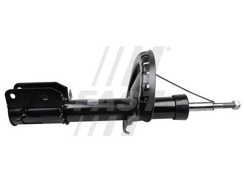 Fast FT11294 Front oil and gas suspension shock absorber FT11294