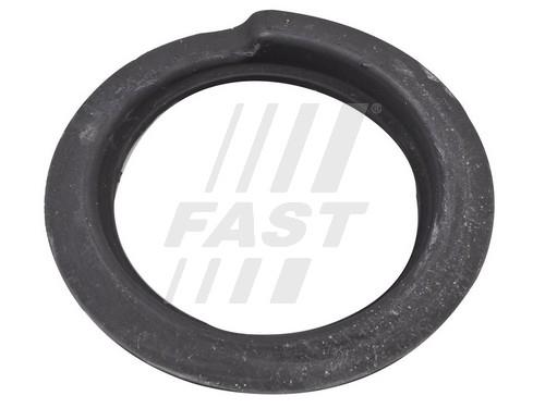 FT12149 Fast Suspension spring front