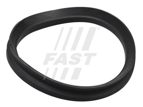 Fast FT12192 Ring sealing FT12192