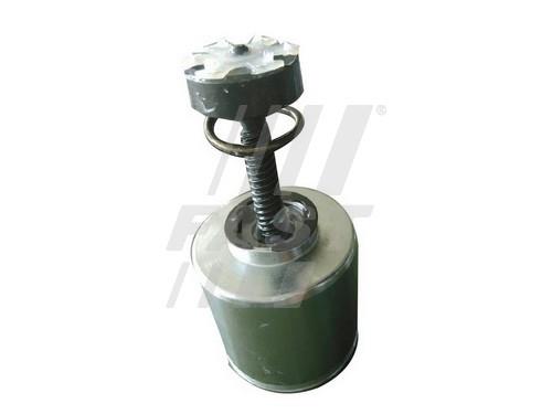 Caliper piston Iveco: FT32289 Fast Brake caliper piston