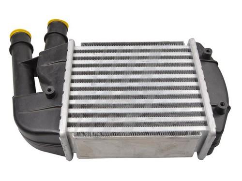 Fast FT55518 Intercooler, charger FT55518