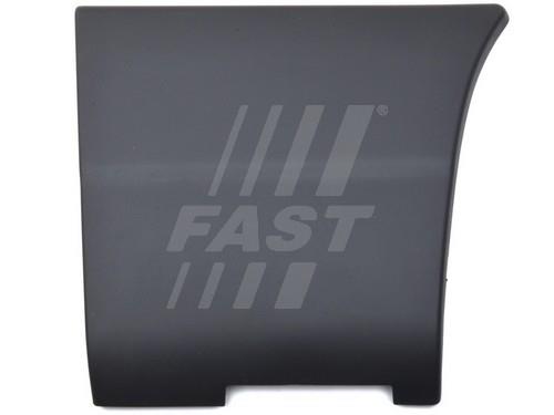 Fast FT90738 Trim/Protective Strip, sidewall FT90738