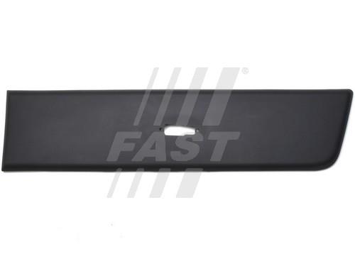 Fast FT90771 Trim/Protective Strip, sidewall FT90771