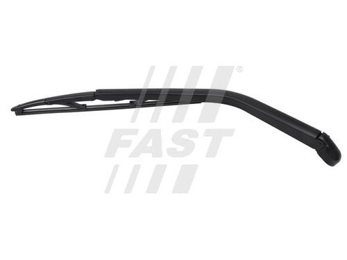 Fast FT93317 Wiper arm FT93317