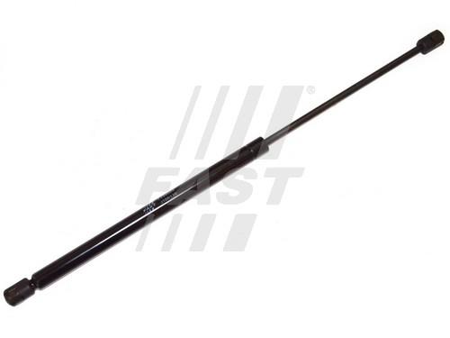 Fast FT94009 Gas Spring, boot-/cargo area FT94009