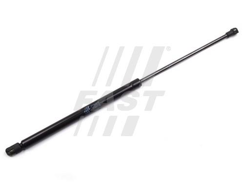 Fast FT94015 Gas Spring, boot-/cargo area FT94015