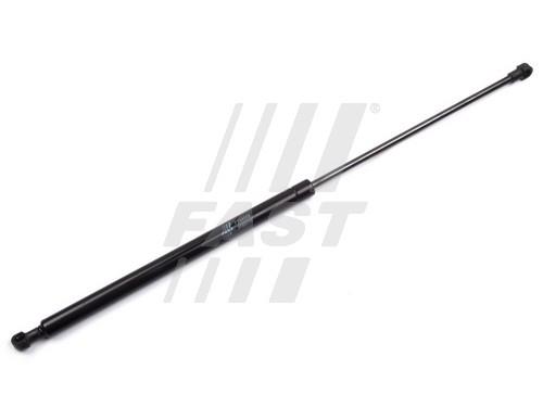 Fast FT94048 Gas Spring, boot-/cargo area FT94048