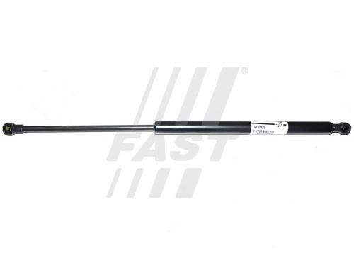 Fast FT94829 Gas Spring, boot-/cargo area FT94829