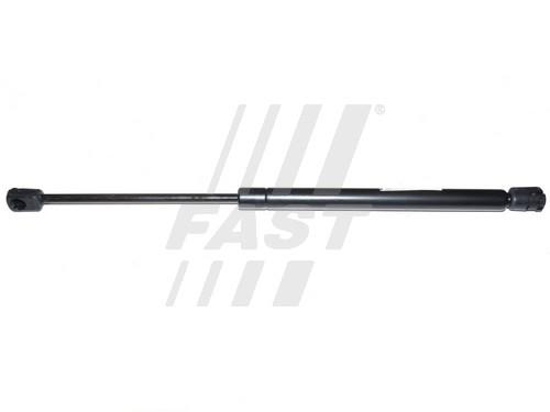 Fast FT94831 Gas hood spring FT94831