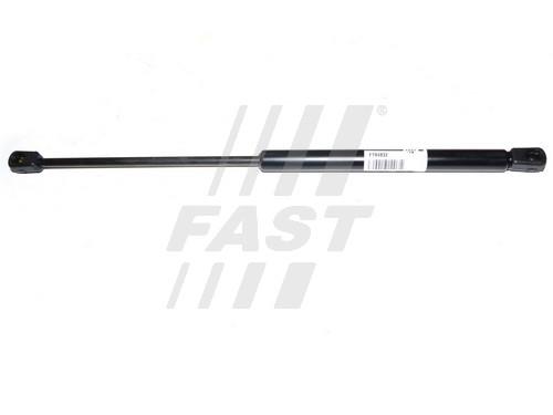 Fast FT94832 Gas Spring, boot-/cargo area FT94832