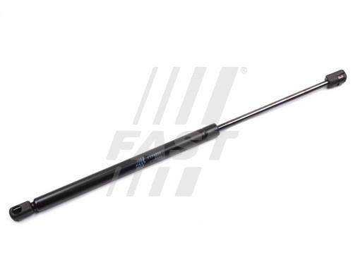 Fast FT94834 Gas Spring, boot-/cargo area FT94834