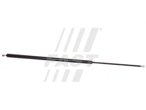 Fast FT94837 Gas Spring, boot-/cargo area FT94837