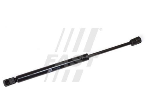 Fast FT94838 Gas hood spring FT94838