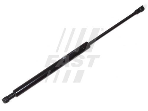 Fast FT94839 Gas hood spring FT94839