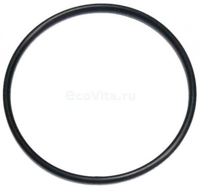 O-ring Subaru 34192AG010