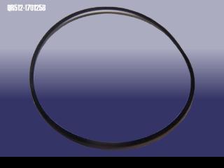 Chery QR5-121701258 Ring sealing QR5121701258