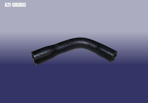 Chery A21-1303613 Pipe branch A211303613