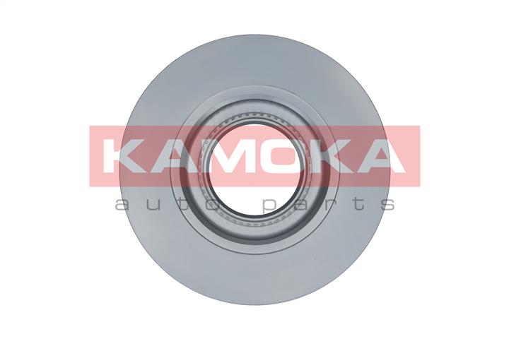 Kamoka 103202 Rear brake disc, non-ventilated 103202