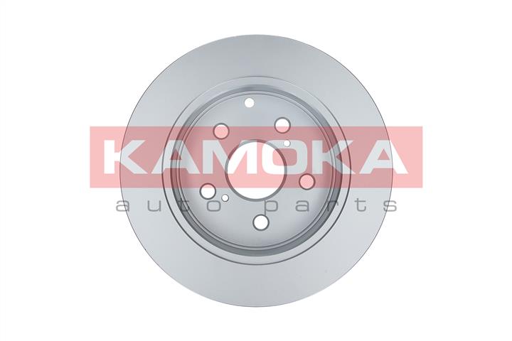 Kamoka 103165 Rear brake disc, non-ventilated 103165